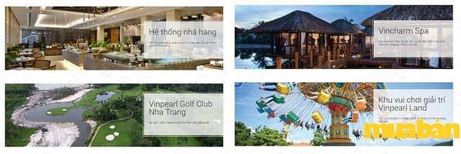 Vinoasis Nha Trang