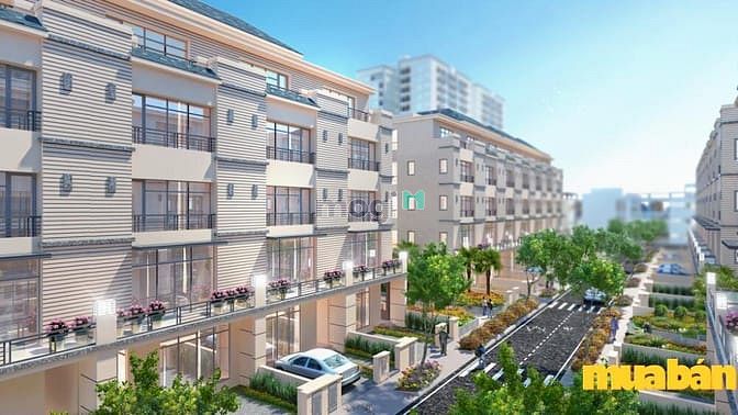 Pandora 53 Triều Khúc