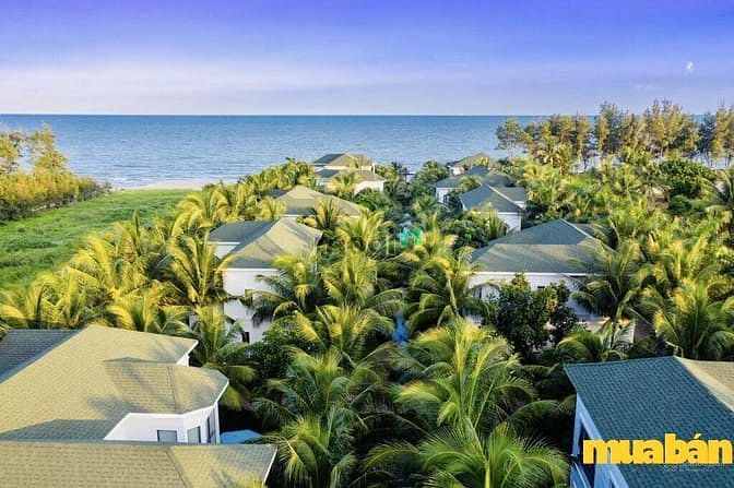 Le Palmier Hồ Tràm