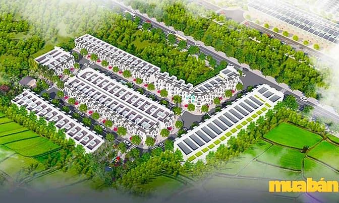 Phước Điền Citizen