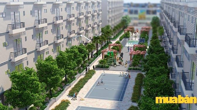 Pandora 53 Triều Khúc