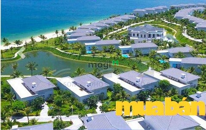 Central Bay Da Nang City