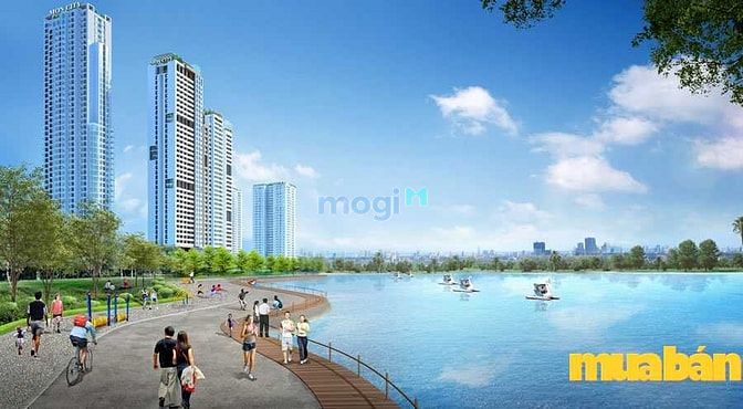 Phoenix Complex Đà Nẵng