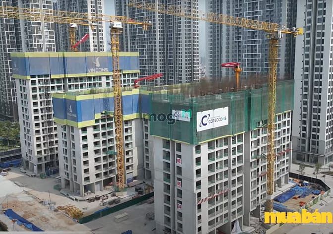 The Canopy Residences - Vinhomes Smart City