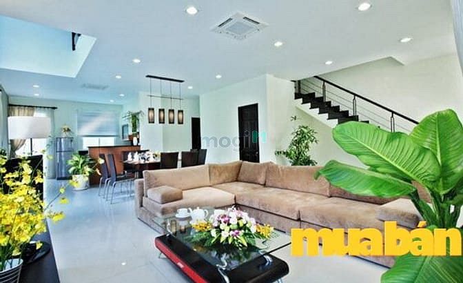 Khu Đô Thị Việt - Sing
