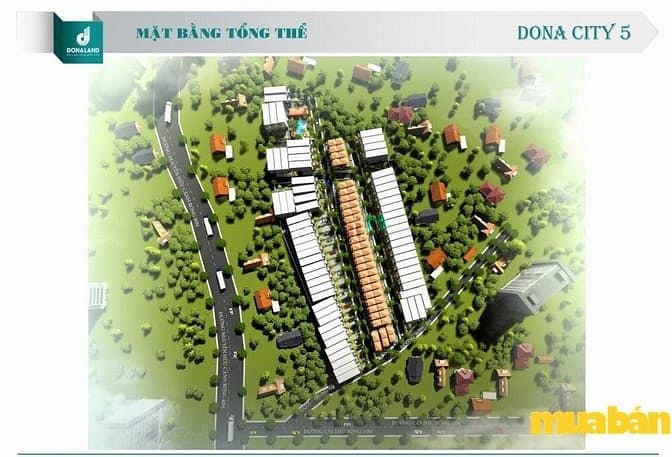 Dona City 5