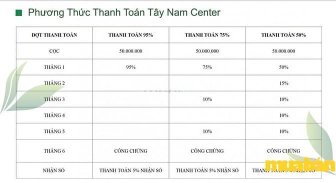 Tây Nam Center