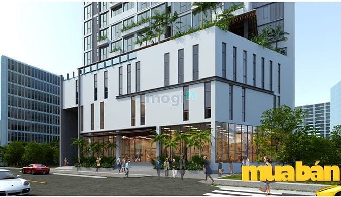 Mb6623 nạp rút nhanh chóng cao cấp Rosena