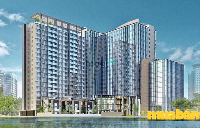 Diamond Park Plaza