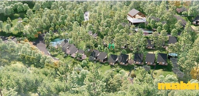 Ba Vì Lodge