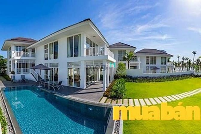 The Ocean Estates