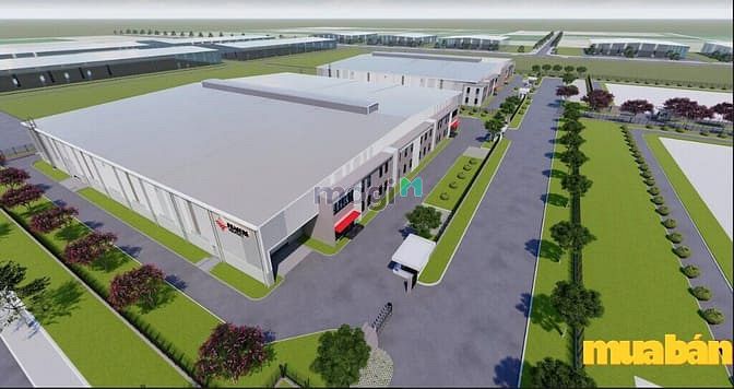 Khu công nghiệp Binh Duong Industrial Park (BDIP)