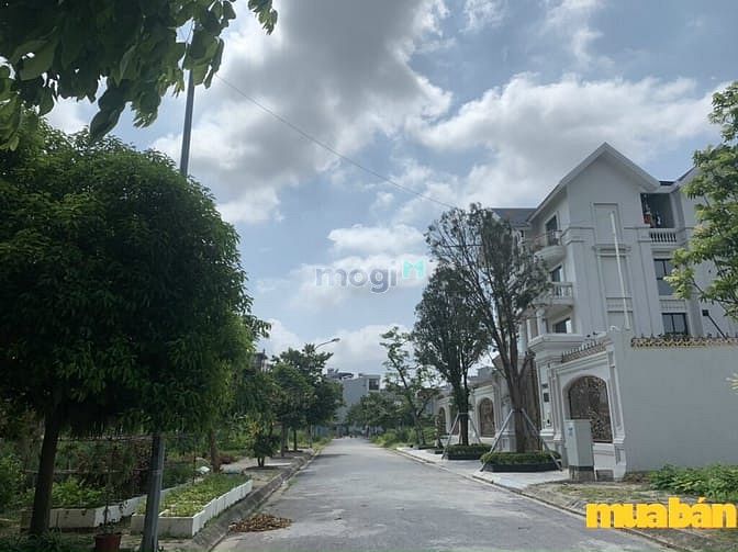 Vườn Hồng