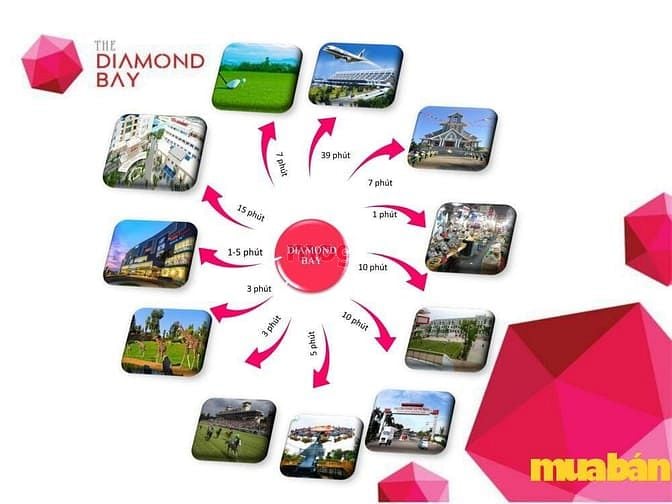 The Diamond Bay