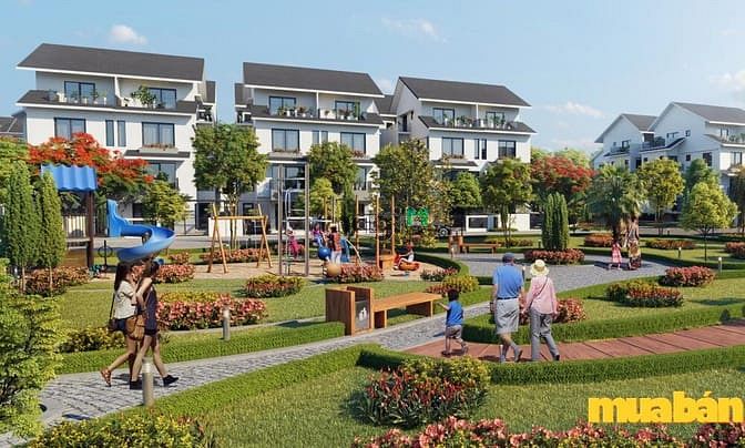 Biệt thự song lập Azalea Homes