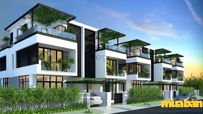 Dragon Ocean Đồ Sơn