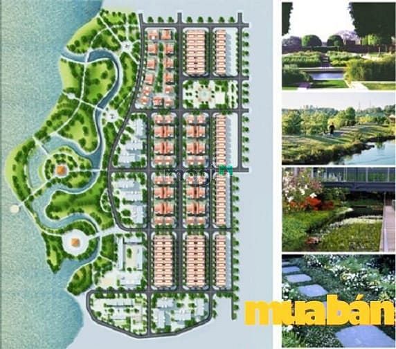 Diamond Park New