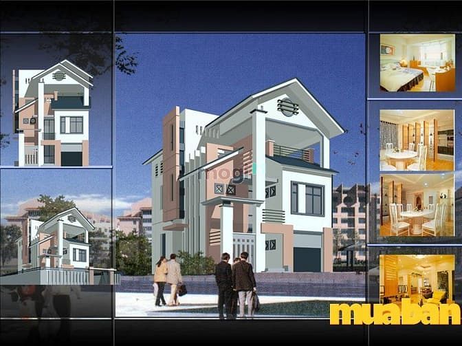 Dương Kinh New City