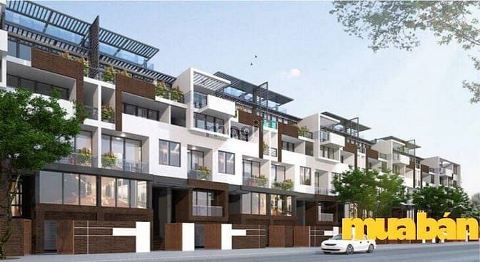 Vincom Shophouse Lê Thánh Tông