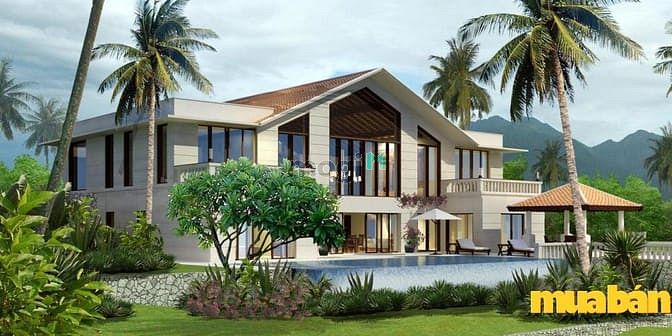 PVI Tây Hồ Tây
