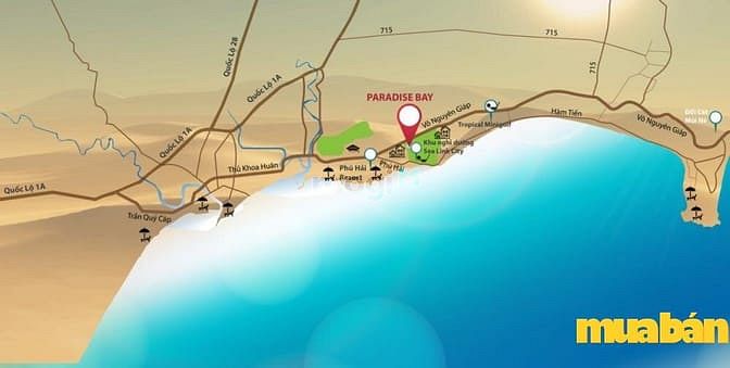 Paradise Bay