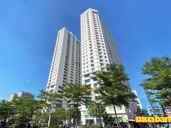 Chung cư Central Field