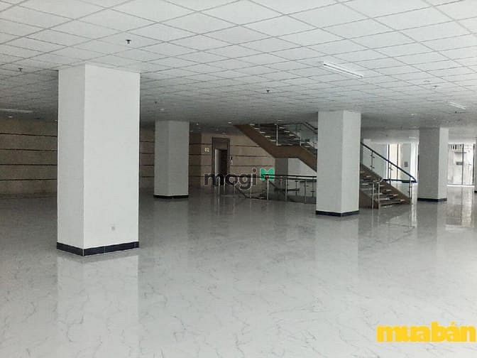 Bảo Anh Building
