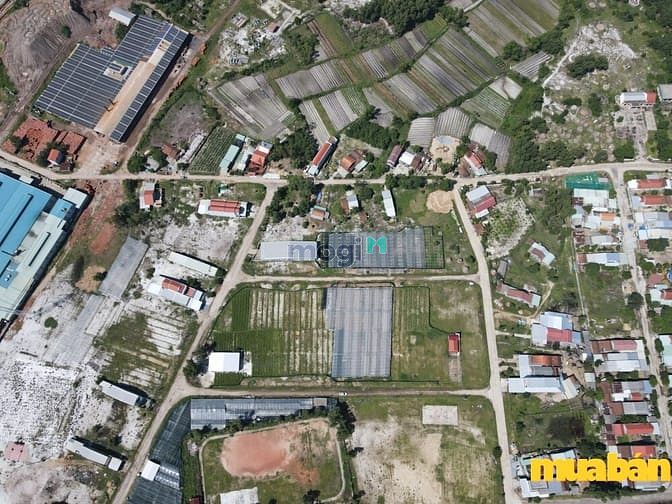 Đất nền Cụm công nghiệp Tây An