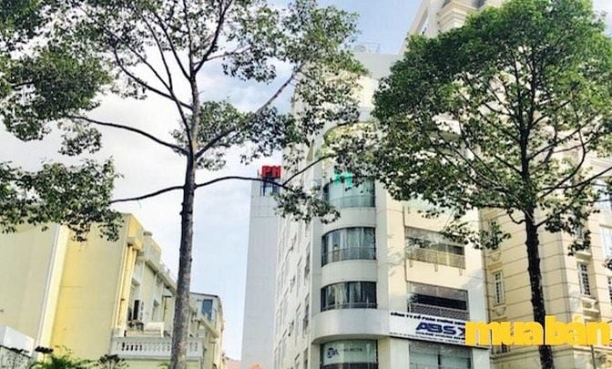 Smart View Building