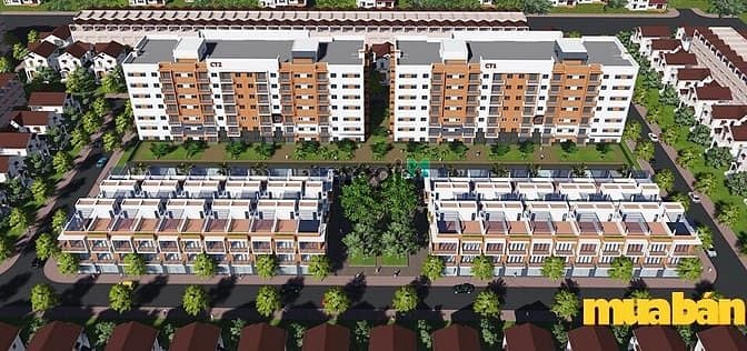 Đình Bảng Green Homes