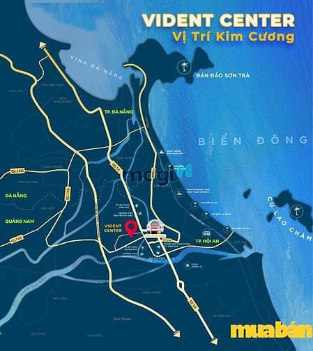 Vident Center
