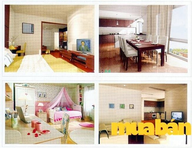Hoàng Sâm - 151 Hoàng Quốc Việt