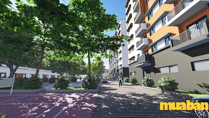 Đình Bảng Green Homes