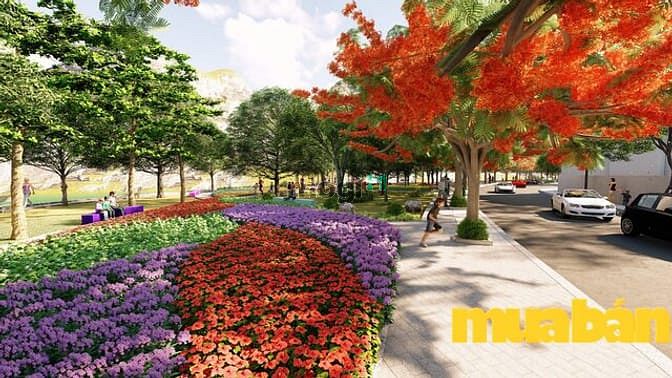 Biệt thự Mon Rosalia Villas