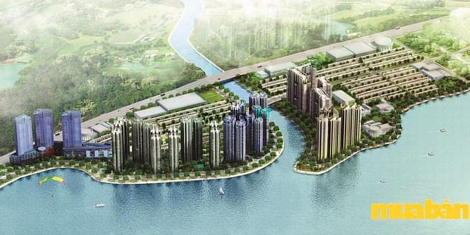 Palm City