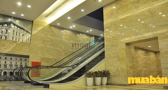 Đào Duy Anh Tower