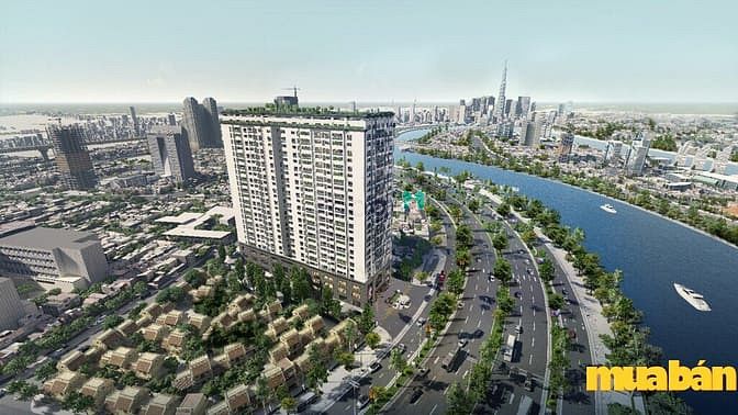 Tam Đức Plaza Apartment