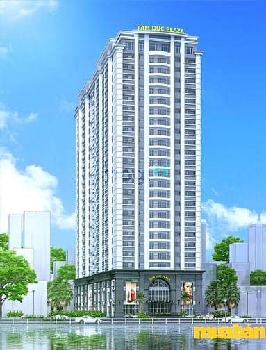 Tam Đức Plaza Apartment