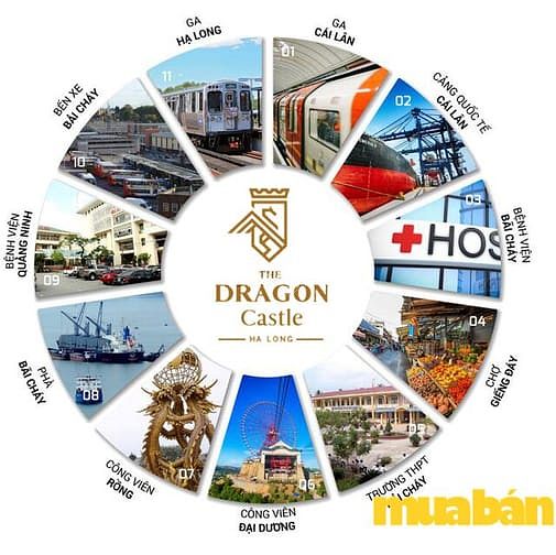 The Dragon Castle