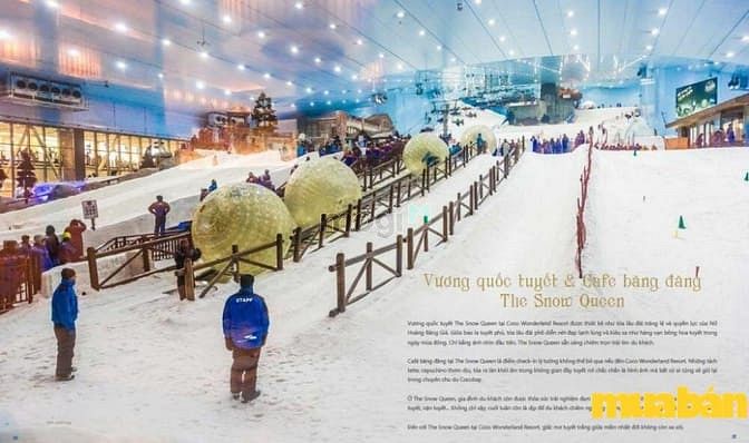 Coco Wonderland Resort