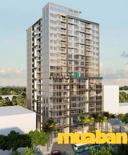 New Pearl Residence