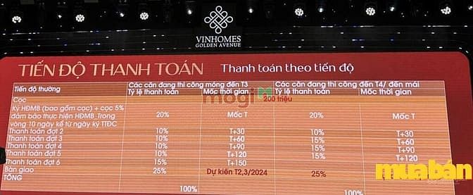 Vinhomes Golden Avenue Móng Cái