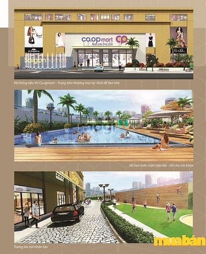 Căn Hộ Saigonhomes