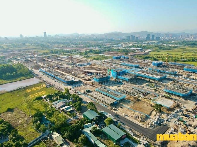 Vinhomes Golden Avenue Móng Cái