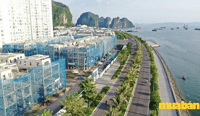 The Sapphire Mansions