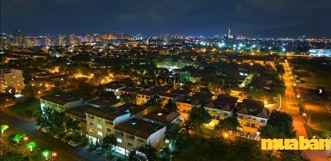Nam Phong Dragon