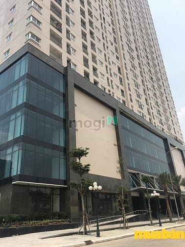 Khu A - Geleximco Lê Trọng Tấn