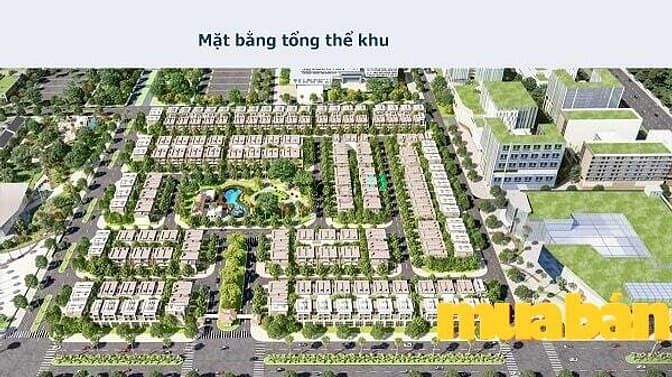 Vinatown Sơn Ca