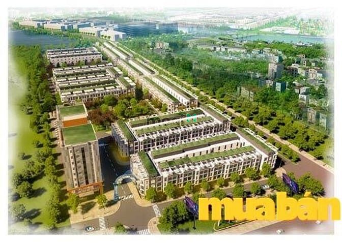 Vinatown Sơn Ca