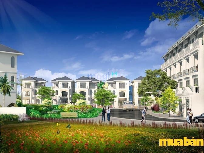 Mỏ Bạch Central Hills